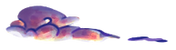 IMG_0248.PNG