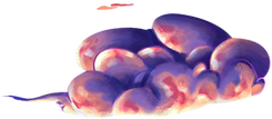 IMG_0248.PNG