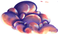 IMG_0248.PNG