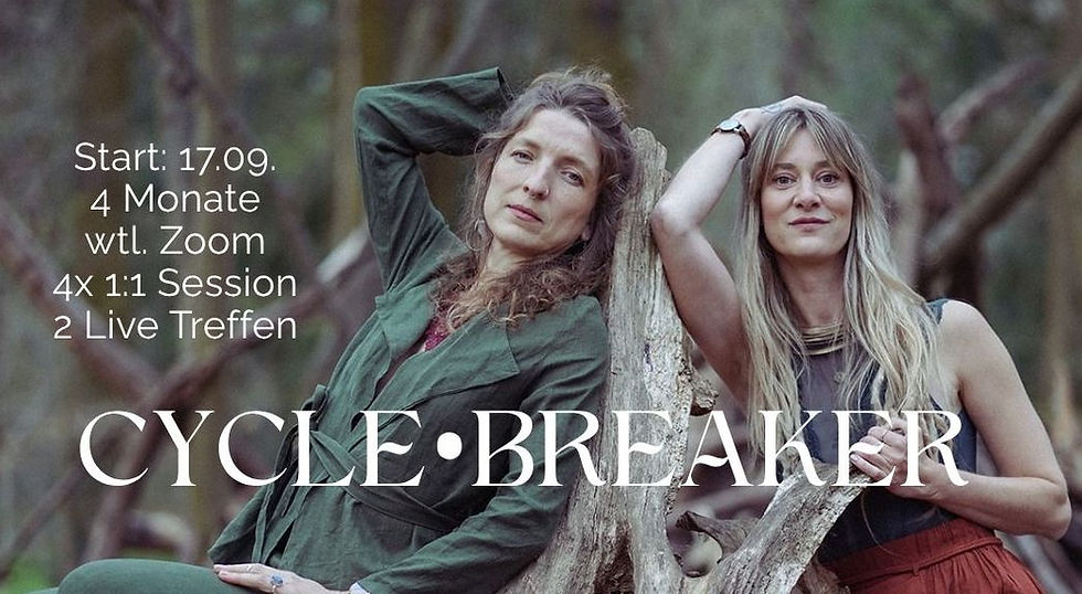 CYCLE•BREAKER Begleitung