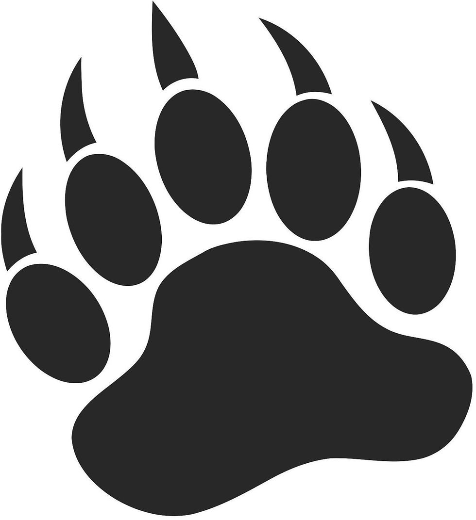 Thumbnail: Set (2 Pieces) Bear Paw  Sticker Decals 20 Colors To Choose From.  U.S.A Free Sh
