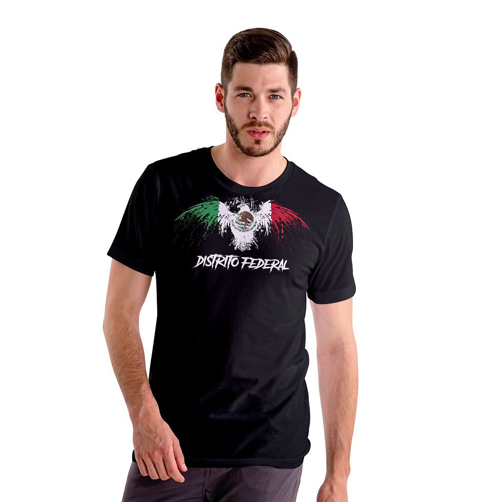 Thumbnail: Distrito Federal Mexico Eagle Flag Black T-Shirt playera Black t-shirt tshirt t 