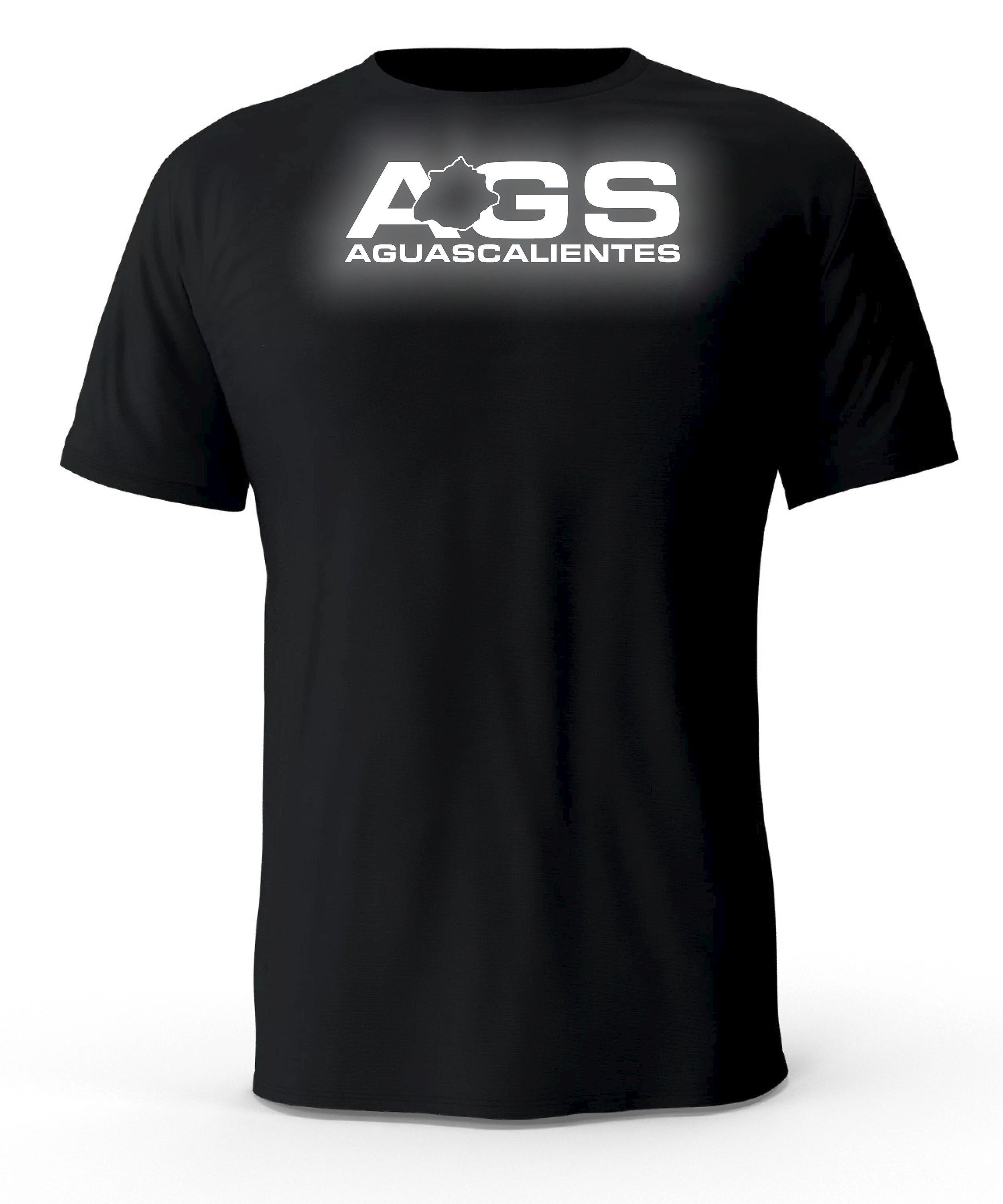 Aguascalientes Mexico Reflective Logo Black T-Shirt playera