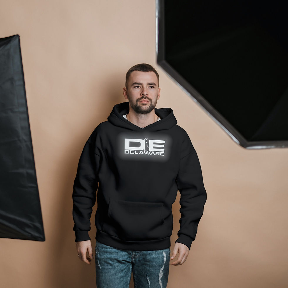 Thumbnail: Delaware DE Reflective Logo Black Pullover Hooded Hoodie Hoody