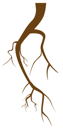 Agregar un título_edited.png