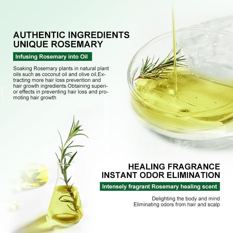 Miniature : SHD - PURC Rosemary Oil Hair Growth Products for Man Women Ginger Anti Hair Loss