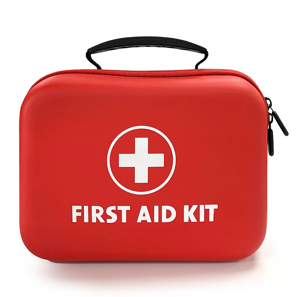 Miniature : SHD - Safe Haven Kit