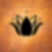 IMG_1137.PNG