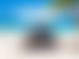 Are you Sandals & Beaches Certified?