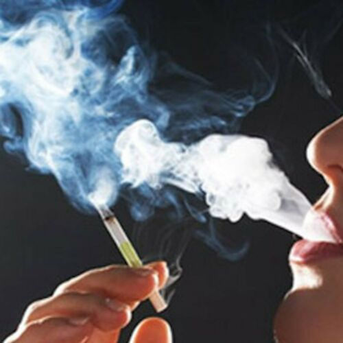 Miniatura: Unique Reusable Bamboo Charcoal Water Purifier Stink Odor Remover Natural Stick