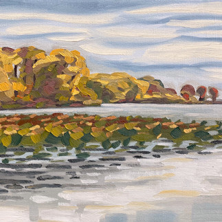 Pointe Mouillee from Hulls Trace