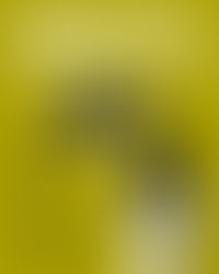 Michigan Annual LIII | January 31 - February 28, 2026