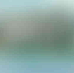 Hiram Walker Sons Distillery Grain Silos from Chene Park