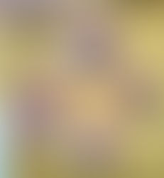 Exploring the Vibrant World of the Anton Art Market