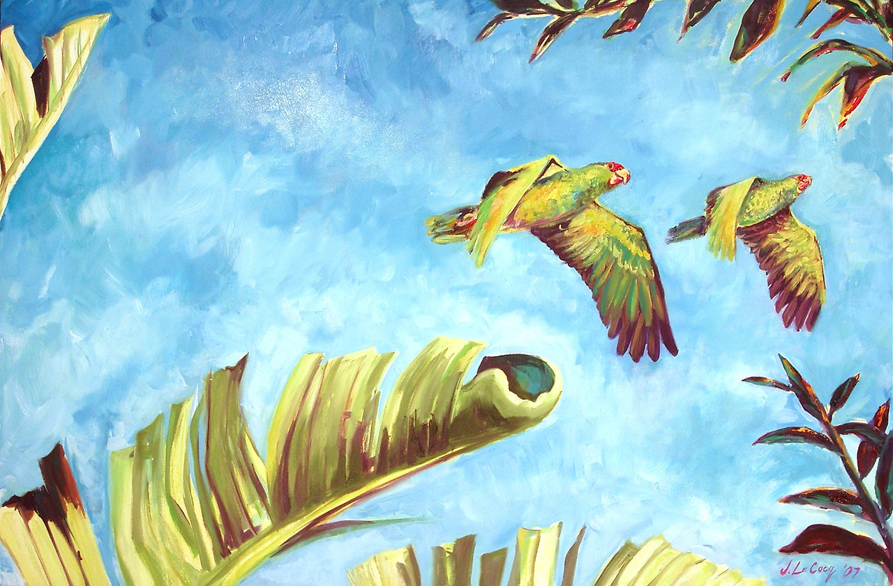 Parrot Painting LR
