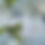 Thumbnail: Mothers Day Ruinart Candle - WLS Fundraising