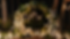 2025_DICA ENTERTAINMENT_WEBSITE HEADER (1).png