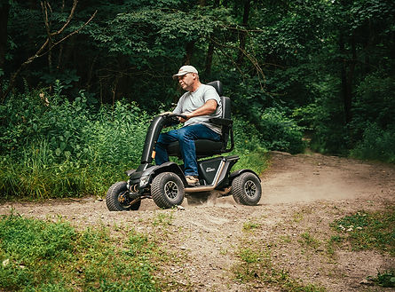 Wrangler Woods