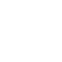 Measurement Icon