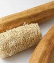 Loofa.jpg