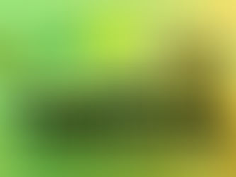 Mejora tus Habilidades de Comunicación