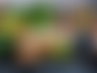 NUTRITION KEY TO ATHLETIC PERFORMANCE