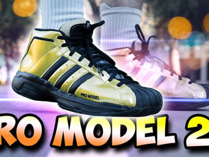 PRO MODEL 2G PERFORMANCE REVIEW