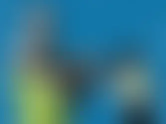 KEY FOOD GROUPS FOR ATHLETES