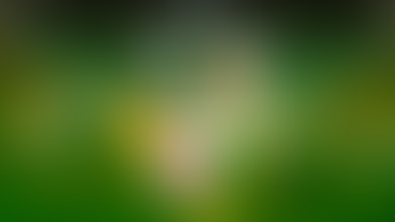 Caccia ai Gufi di Tales of Arise: Menancia