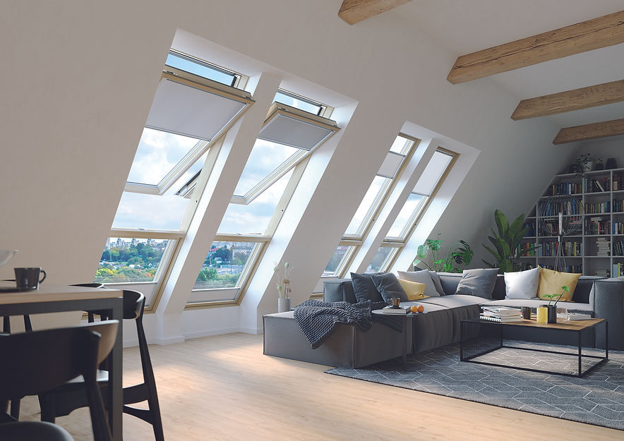 FDP_GreenView_2024_01 (www).jpg