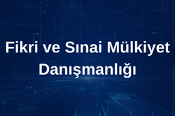 Bir başlık ekleyin (5)