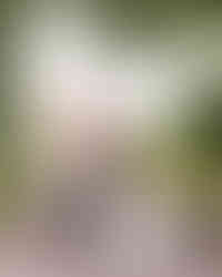 deCordova Museum Wedding - Lincoln, MA