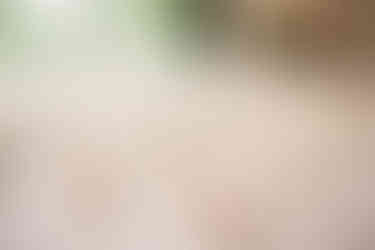 deCordova Museum Wedding - Lincoln, MA