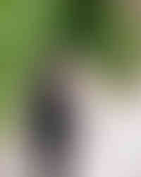 deCordova Museum Wedding - Lincoln, MA