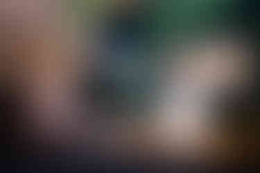 deCordova Museum Wedding - Lincoln, MA