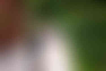 deCordova Museum Wedding - Lincoln, MA