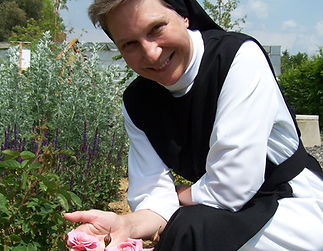 Rose Laetitia im KLostergarten_edited.jpg