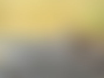 Pins, Telegram, and crakes