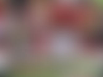 2020 Running Back Landing Spots: Rounds 1-3 + Honorable Mentions