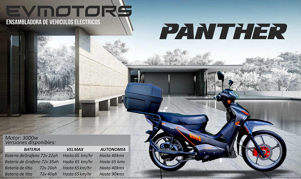 MOTOCICLETA ELÉCTRICA PANTHER