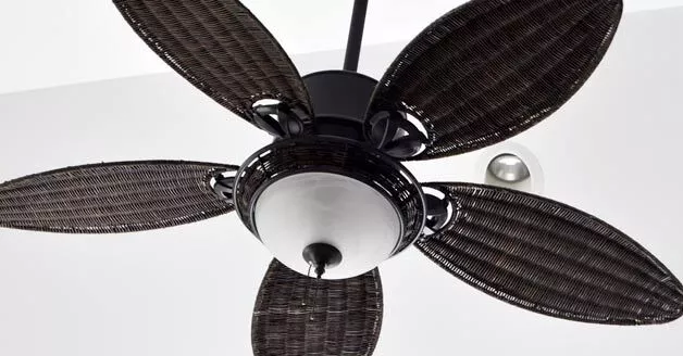 Ceiling-Fan-Services.webp