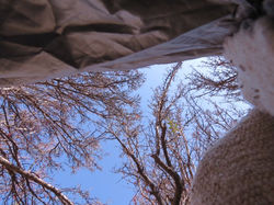 Dimenciones de la cuarta la kinta