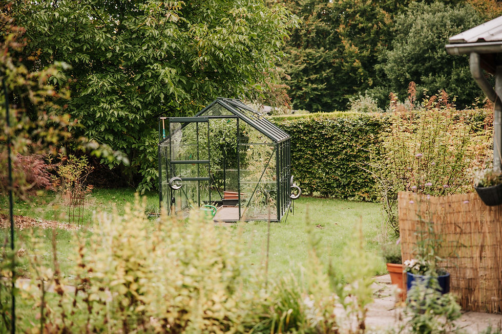 Gewächshaus + Garten