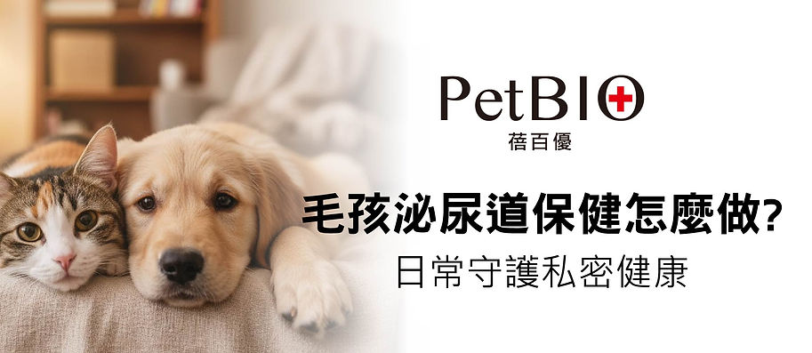 毛孩泌尿道-01.jpg