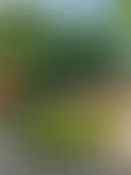 Ready to Kick the Habit? Here's How to Find the Perfect Addiction Treatment Program for You