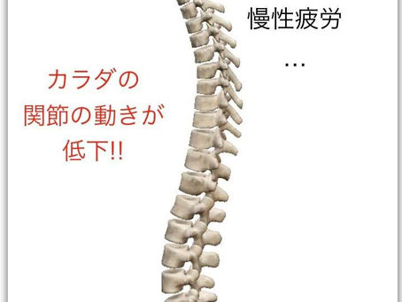 【DRTという整体のお話し】