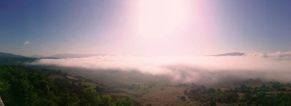 b0311230-66a6-4b17-b585-4b347581da98.jpeg