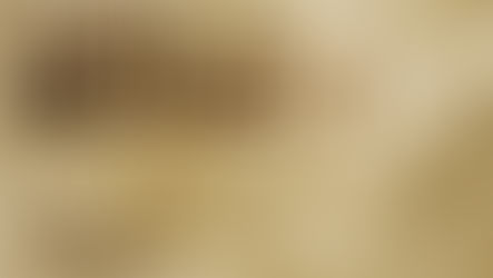 Part 1: The Group Interview