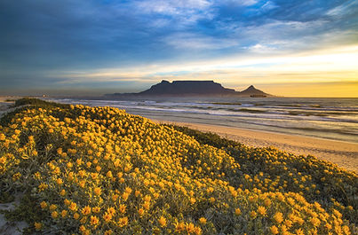 Table Mountain, Cape Town, South Africa_edited.jpg