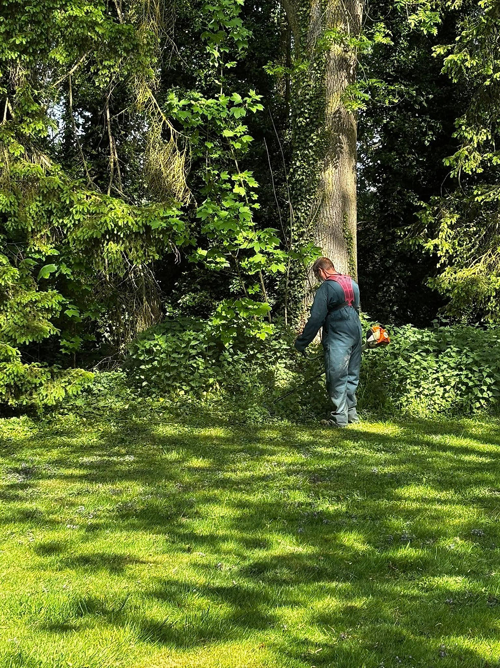 Entretien parc jardins et espaces verts à Arras